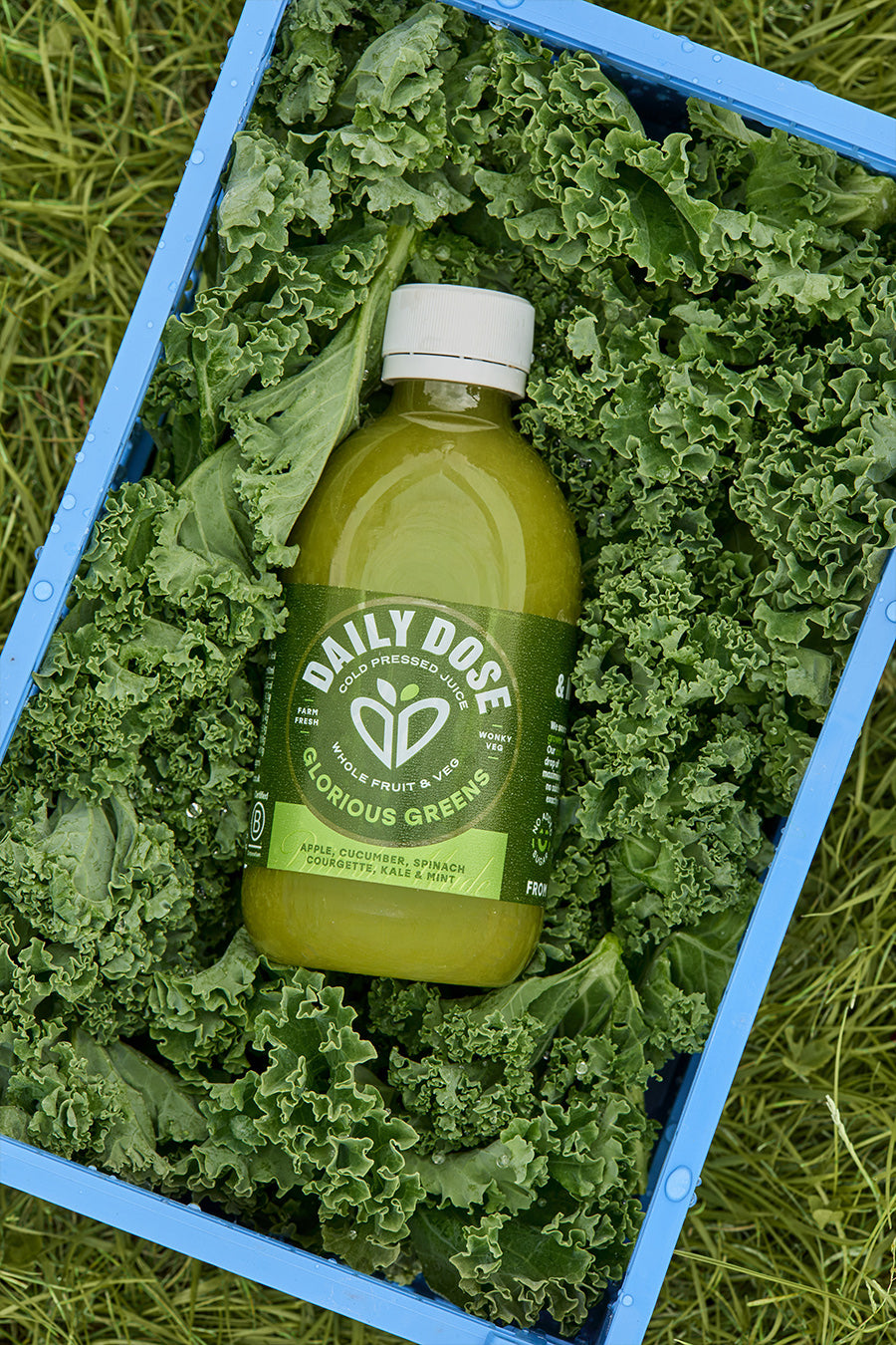 The Benefits of Cold-Pressed Green Juice